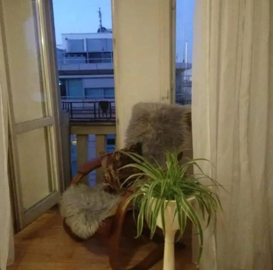 Centrum Lwowska Varşova Konukevi